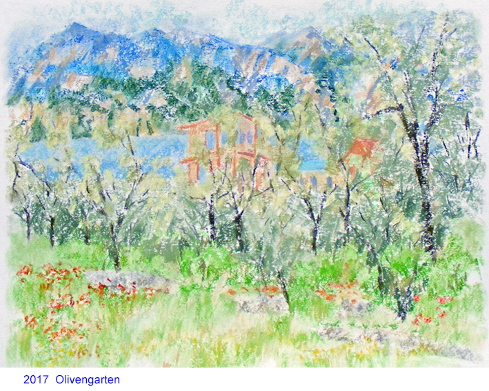 2017 Olivengarten  